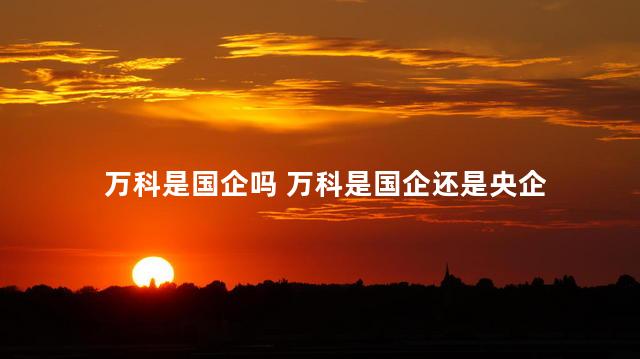 万科是国企吗 万科是国企还是央企